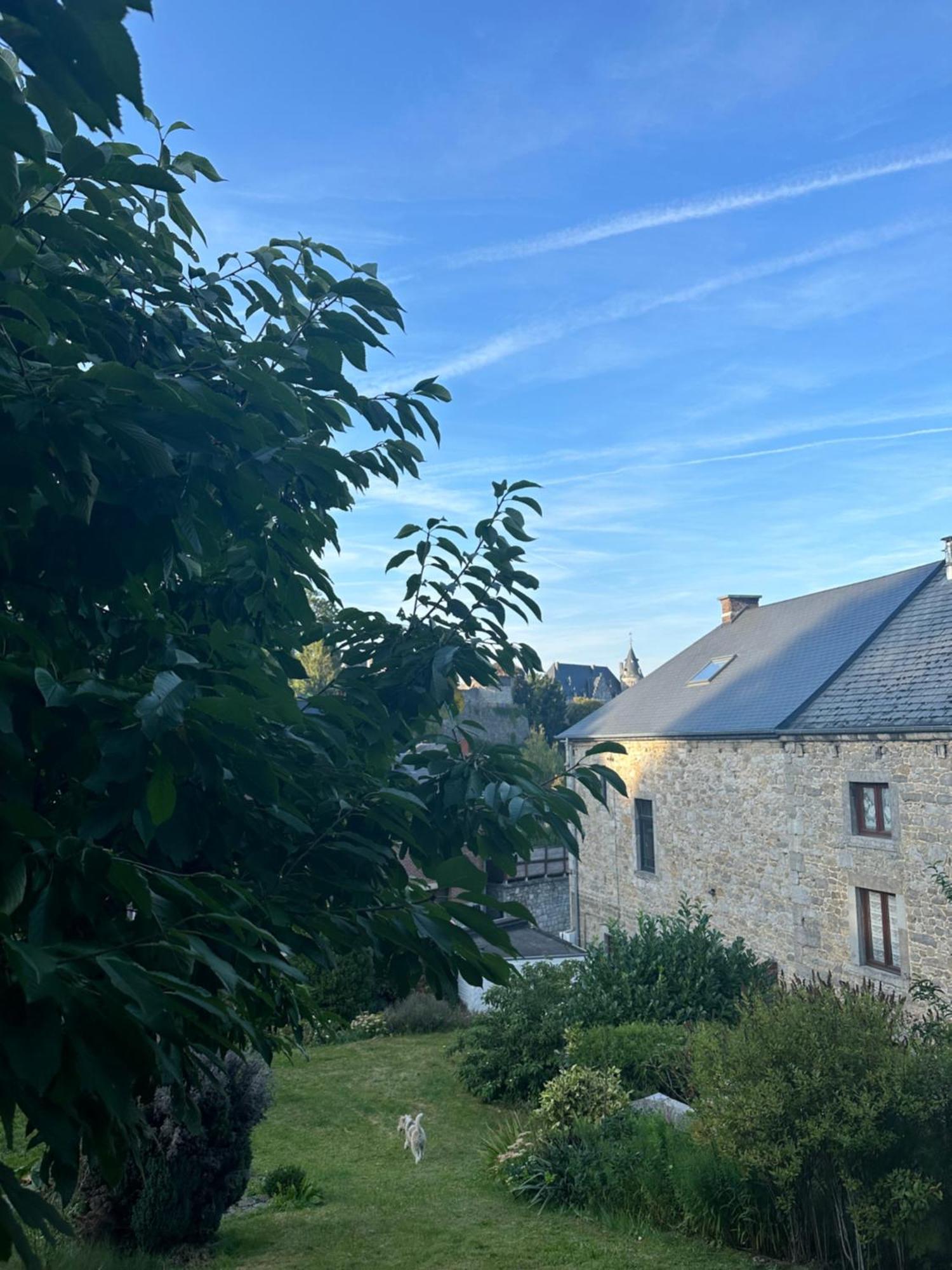 Maison Comtale Rochefort Buitenkant foto